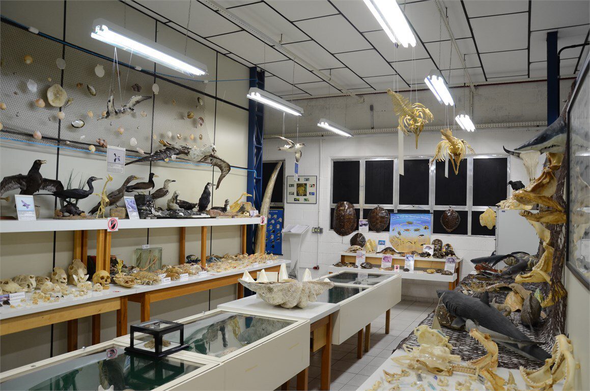 Laboratório