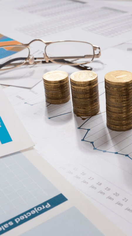 Gestão Financeira (1 ano)