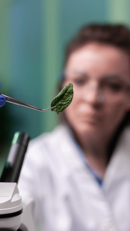 (SEMI) Licenciatura em Ciências Biológicas com aproveitamento