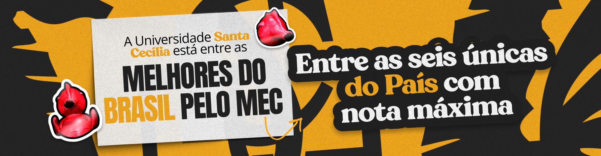 https://noticias.unisanta.br/educacao/unisanta-esta-entre-as-melhores-do-brasil-segundo-avaliacao-do-mec-e-reafirma-lideranca-regional