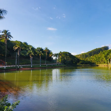 SÃO JOÃO EVANGELISTA – MG