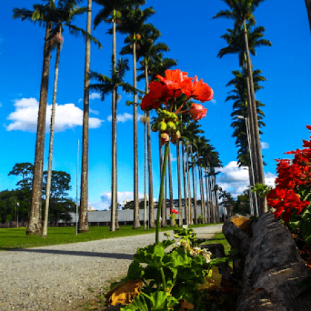 SÃO JOSÉ DOS CAMPOS – SP