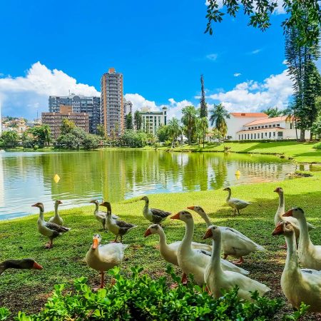 SÃO LOURENÇO – MG